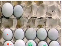 El número de huevos